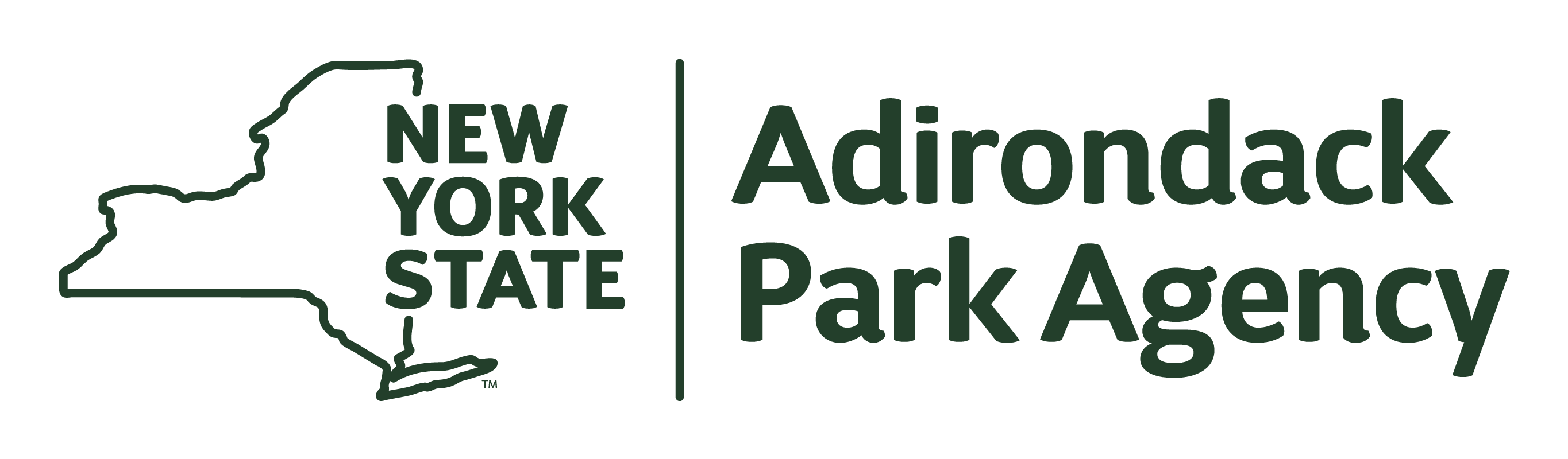 APA Logo